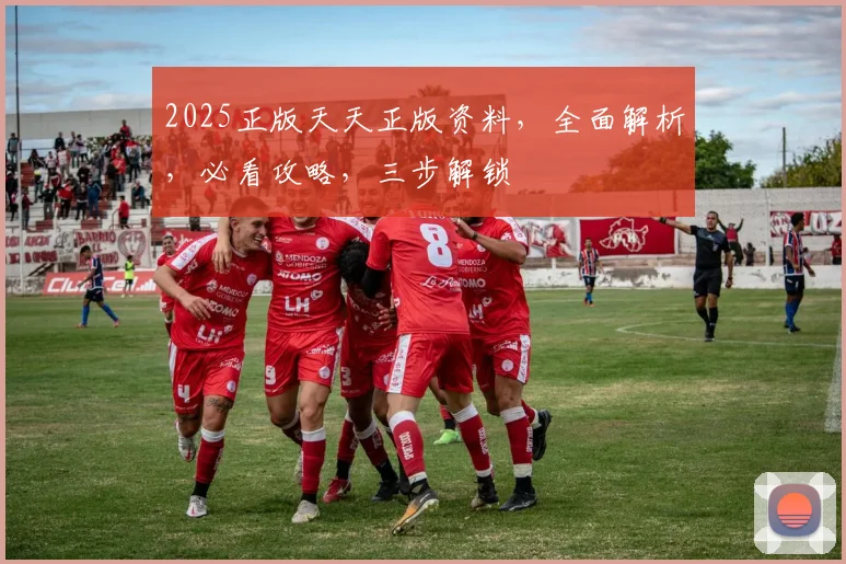 2025正版天天正版资料，全面解析，必看攻略，三步解锁