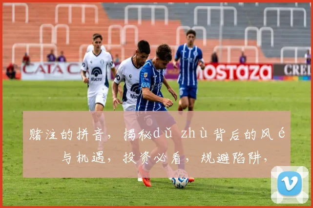 赌注的拼音，揭秘dǔ zhù背后的风险与机遇，投资必看，规避陷阱，把握先机，轻松盈利