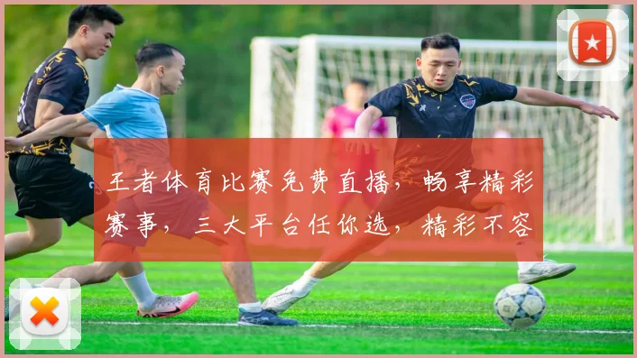 王者体育比赛免费直播，畅享精彩赛事，三大平台任你选，精彩不容错过，尽在指尖