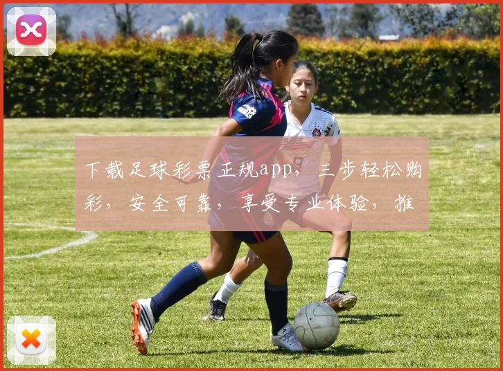 下载足球彩票正规app，三步轻松购彩，安全可靠，享受专业体验，推荐必看