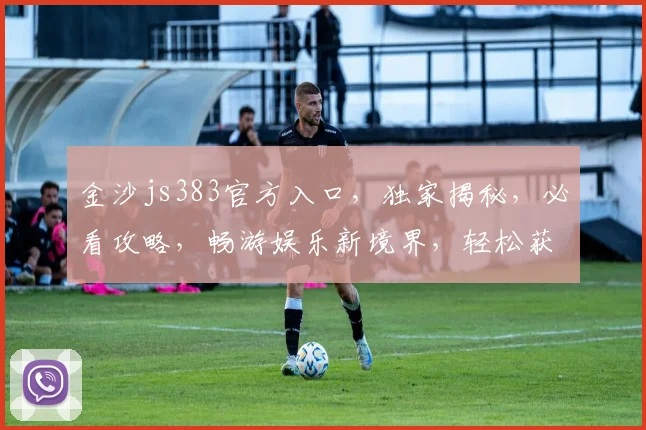 金沙js383官方入口，独家揭秘，必看攻略，畅游娱乐新境界，轻松获取