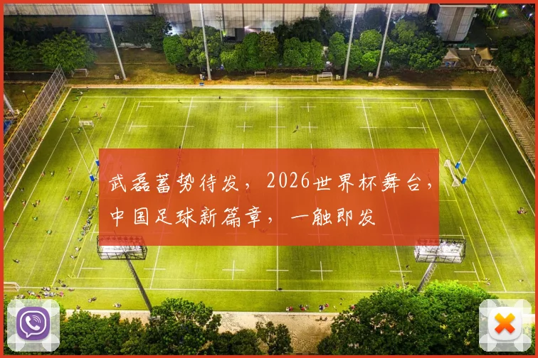 武磊蓄势待发，2026世界杯舞台，中国足球新篇章，一触即发